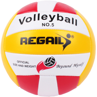 Мяч волейбольный Darvish RVB-001 / SR-S-28 - 