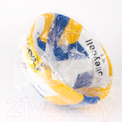 Мяч волейбольный Darvish RVB-001 / SR-S-28