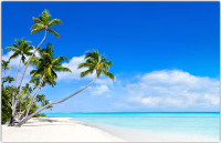 Фотофасад Arthata Пляж, пальмы, море / FotoSetka-100-111 (100x156) - 