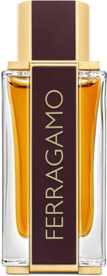 Изображение товара Парфюмерная вода Salvatore Ferragamo Spicy Leather (100мл)