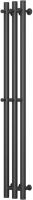 Полотенцесушитель водяной Маргроид Inaro 100x6x12 6 крючков (черный матовый, частичная комплектация) - 