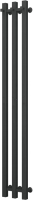Полотенцесушитель водяной Маргроид Inaro 100x6x12Проф 3 крючка (черный матовый, частичная комплектация) - 