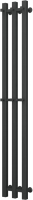 Полотенцесушитель водяной Маргроид Inaro 100x6x12Проф 6 крючков (черный матовый, частичная комплектация) - 