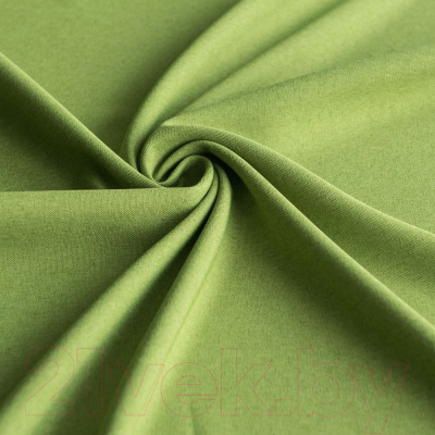 Комплект штор Pasionaria Кирстен 480x260 с подхватами (зеленый/фиолетовый)