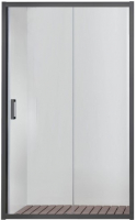 Душевая дверь Aquatek 100x200 / AQ ARI RA 10020BL (черный/прозрачное стекло) - 