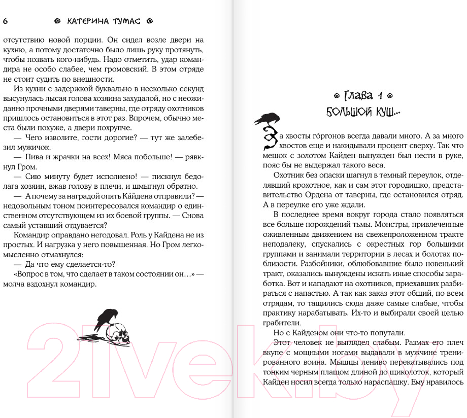 Художественная книга АСТ Врата на Изнанку (Тумас К.) — фото 5