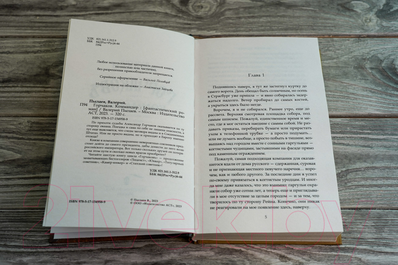 Художественная книга АСТ Горчаков. Коммандер (Пылаев В.) — фото 3