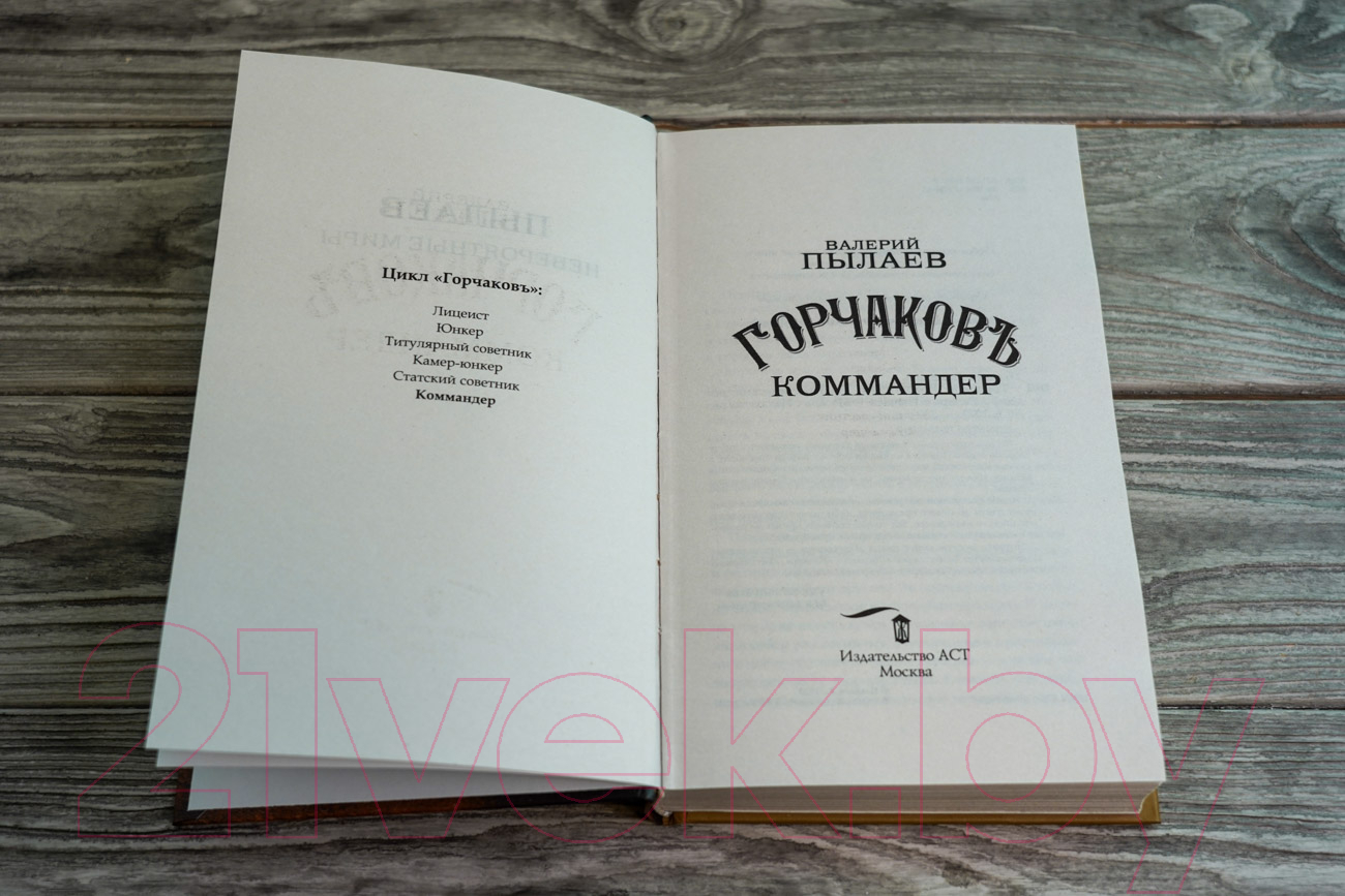 Художественная книга АСТ Горчаков. Коммандер (Пылаев В.) — фото 4