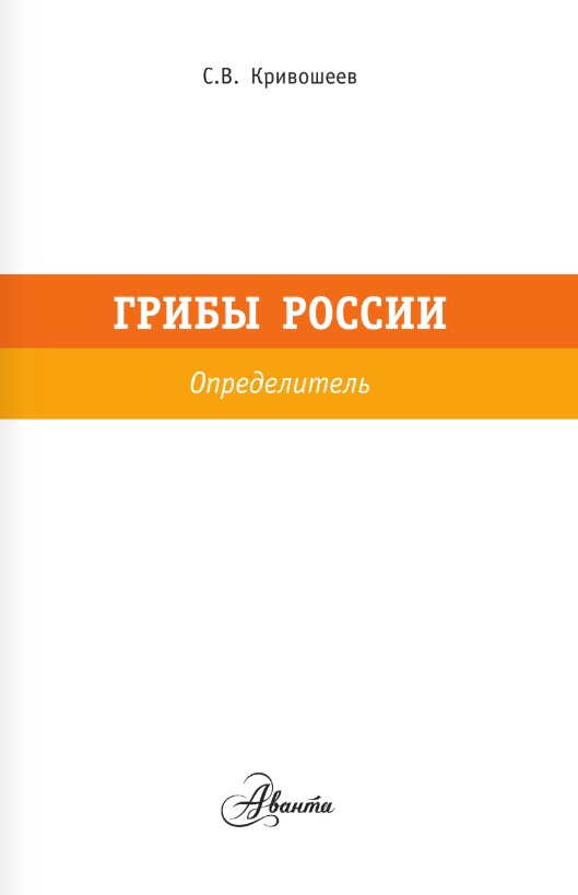 Энциклопедия АСТ Грибы России. Определитель (Кривошеев Станислав) — фото 3