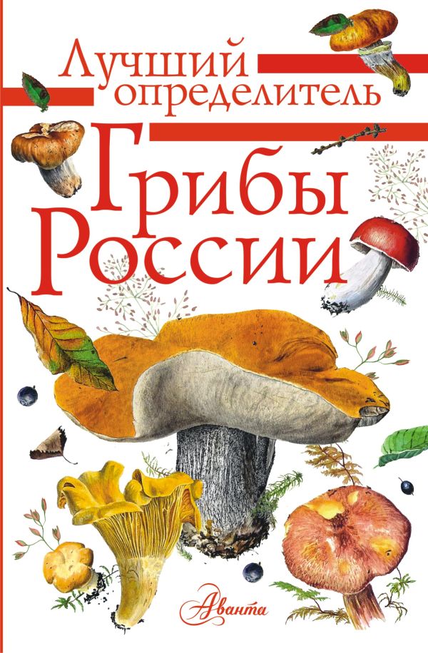 Энциклопедия АСТ Грибы России. Определитель (Кривошеев Станислав)