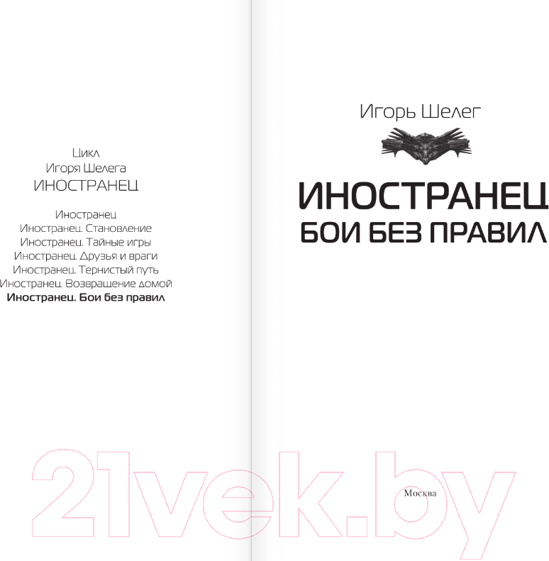 Художественная книга АСТ Иностранец. Бои без правил (Шелег И.В.) — фото 3
