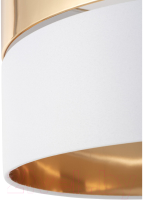 Изображение товара Потолочный светильник TK Lighting Hilton Gold 4771