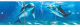 Экран для ванны МетаКам Премиум Арт 1.68 (дельфины) - 