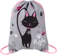 

Мешок для обуви Brauberg, Premium. Elegant Cat / 271620