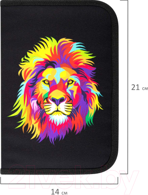 Изображение товара Пенал Brauberg Colorful Lion / 270725