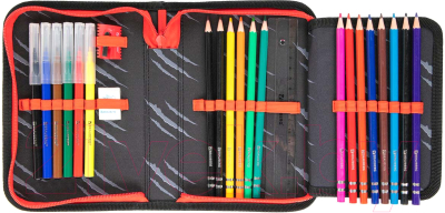 Изображение товара Пенал Brauberg Colorful Lion / 270725