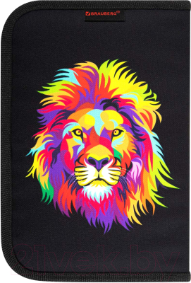 Изображение товара Пенал Brauberg Colorful Lion / 270725