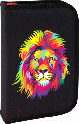 Изображение товара Пенал Brauberg Colorful Lion / 270725