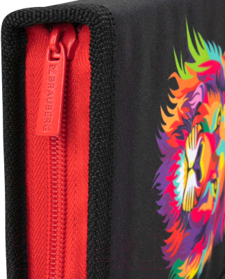 Изображение товара Пенал Brauberg Colorful Lion / 270725