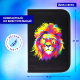 Миниатюра изображения товара Пенал Brauberg Colorful Lion / 270725