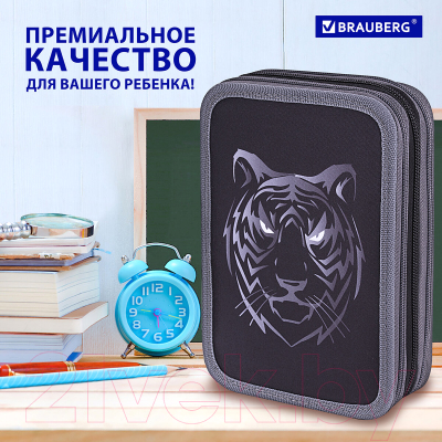 Изображение товара Пенал Brauberg Tiger / 271551