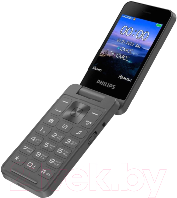 Мобильный телефон Philips Xenium E2602 (темно-серый)