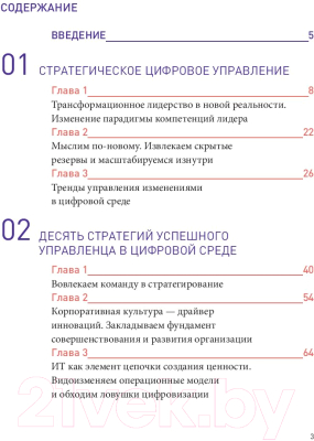 Книга Альпина Команда рулит. Управление изменениями в цифровой среде (Набок О.)