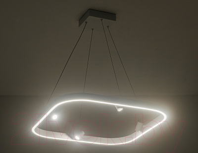 Потолочный светильник Ambrella Comfort / FL5802