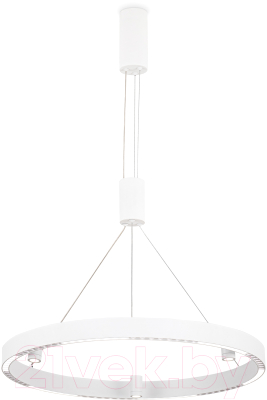 Потолочный светильник Ambrella Comfort / FL5844