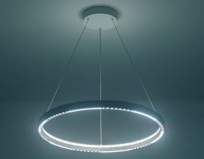 Потолочный светильник Ambrella Comfort / FL5851