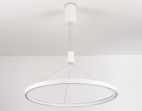 Потолочный светильник Ambrella Comfort / FL5855 - 