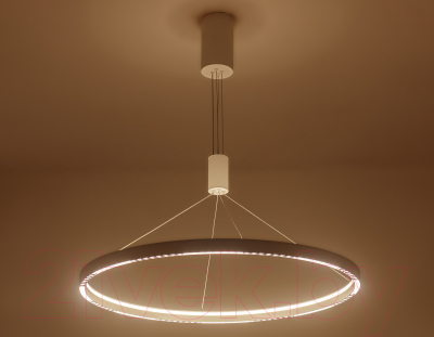 Потолочный светильник Ambrella Comfort / FL5855