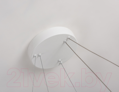 Потолочный светильник Ambrella Comfort / FL5862