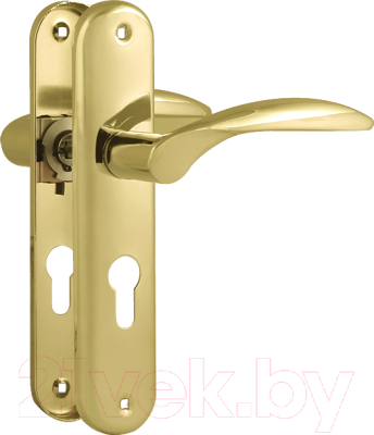 Ручка дверная Нора-М 94-55 (золото)