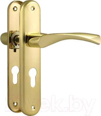 Ручка дверная Нора-М 100-55 (золото)