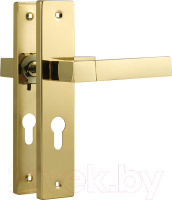 Ручка дверная Нора-М 109-55 (золото)