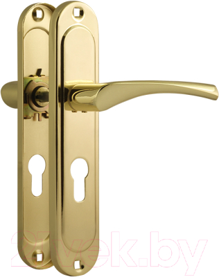 Ручка дверная Нора-М 710-55 (золото)