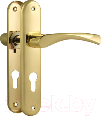 Ручка дверная Нора-М 100-62 (золото)