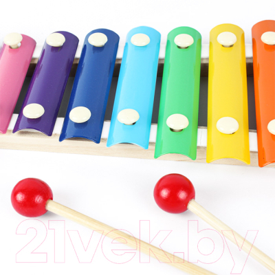 Музыкальная игрушка Darvish Ксилофон / SR-T-1593
