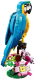Миниатюра изображения товара Конструктор Lego CREATOR Экзотический попугай / 31136