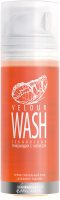 Лосьон для лица PREMIUM Homework Velour Wash Себолосьон очищающий с мелиссой (155мл) - 
