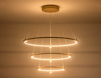 Потолочный светильник Ambrella Comfort / FL5516
