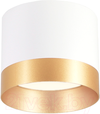 Точечный светильник Ambrella GX53 TN5315 WH/GD (белый/золото)