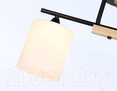 Изображение товара Потолочный светильник Ambrella Traditional / TR9543