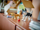 Миниатюра изображения товара Конструктор Lego Creator Очаровательные собаки 31137