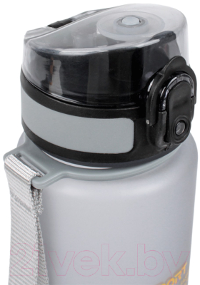 Бутылка для воды Darvish DV-H-1604-1
