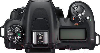 Зеркальный фотоаппарат Nikon D7500 Body