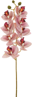 Искусственный цветок Koopman Фаленопсис / 80-401441 (сиреневый) - 