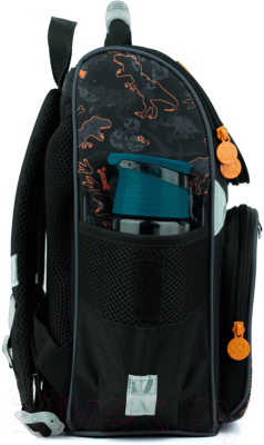 Школьный рюкзак GoPack Roar 22-5001-6-S Go