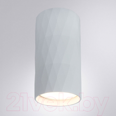 Точечный светильник Arte Lamp Fang A5557PL-1WH